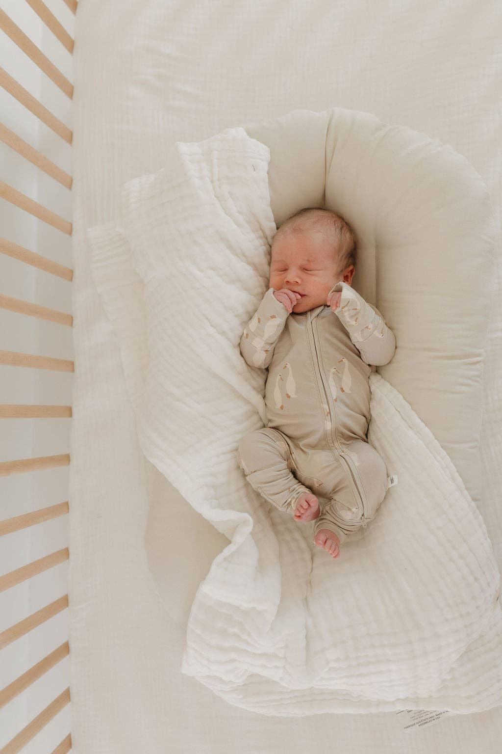 The Softest Truth: A Guide to Bamboo, Rayon, and Why We Love a Little Stretch