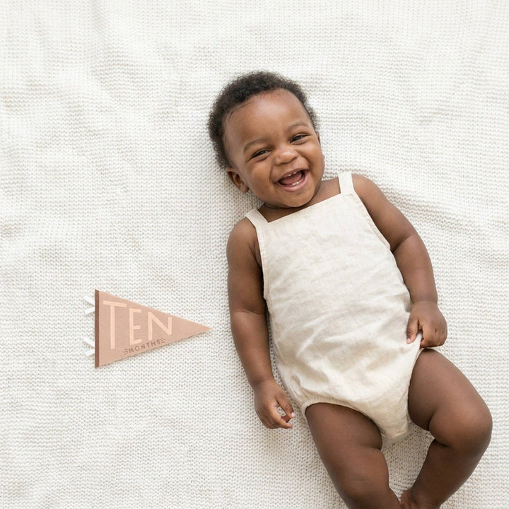 Mountain Fields Baby Milestone Pennants
