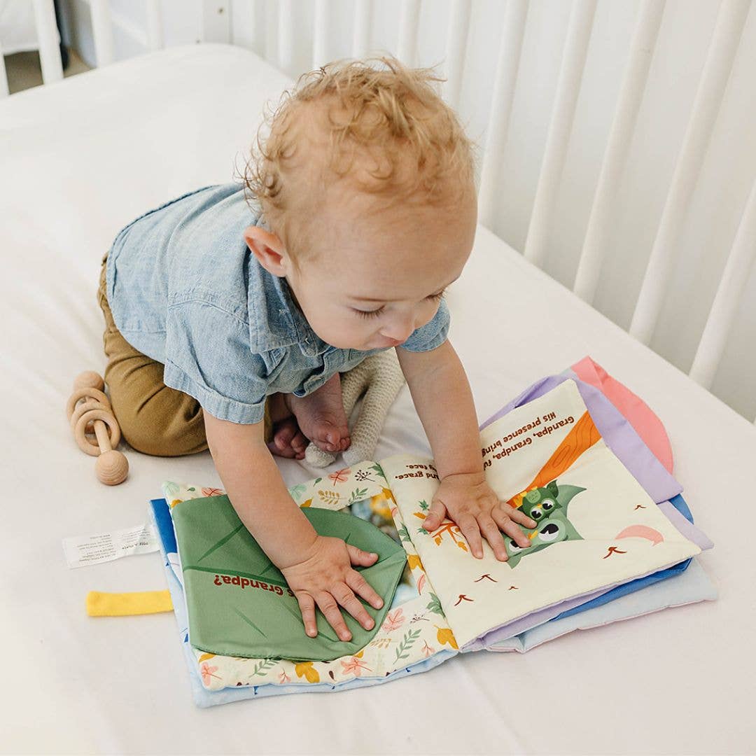 Peek-A-Photo Soft Cloth Book