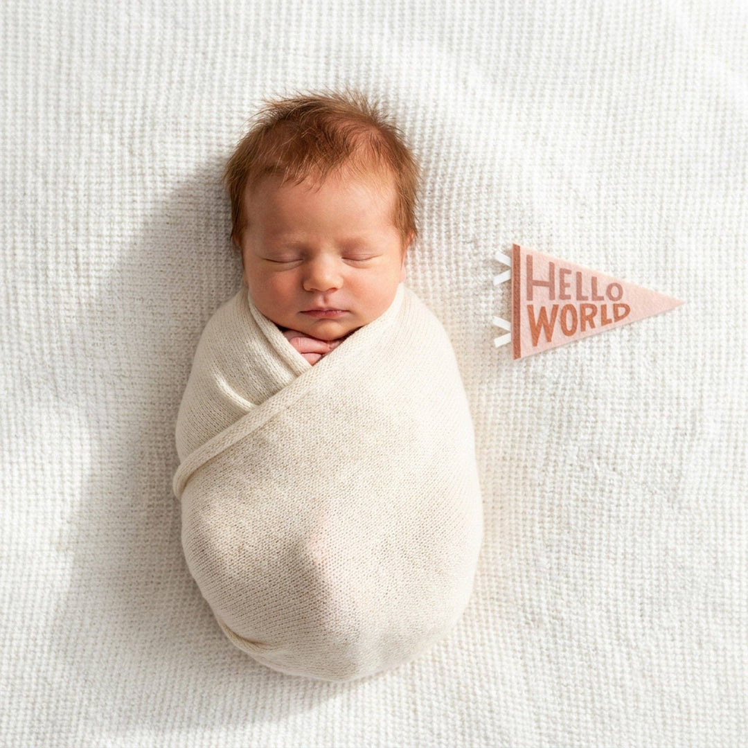 Mountain Fields Baby Milestone Pennants
