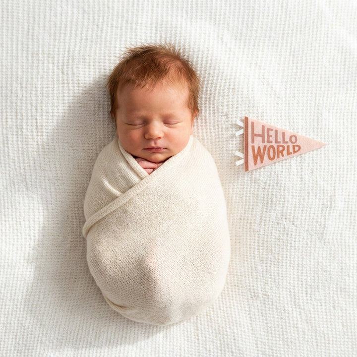 Mountain Fields Baby Milestone Pennants