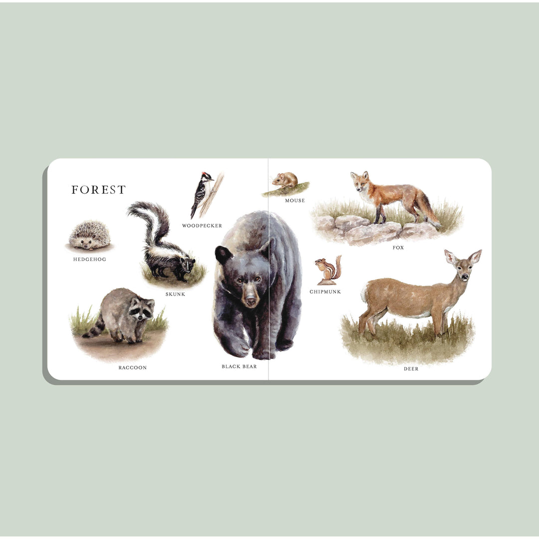 Our Big Book of Animals • XL Board Book