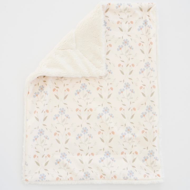 The Valley Minky/Lush Blanket