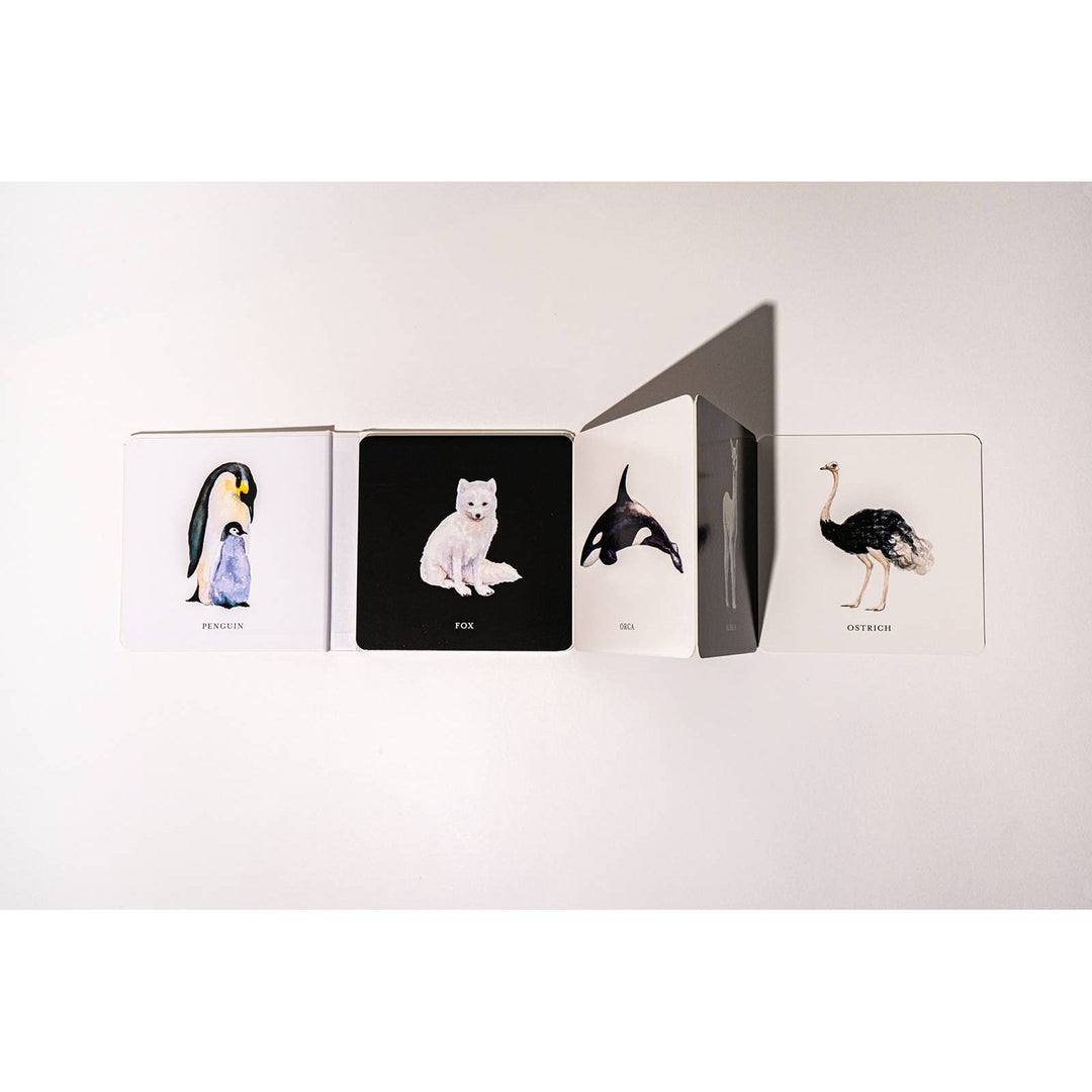 BLACK &amp; WHITE BABY CONTRAST Book