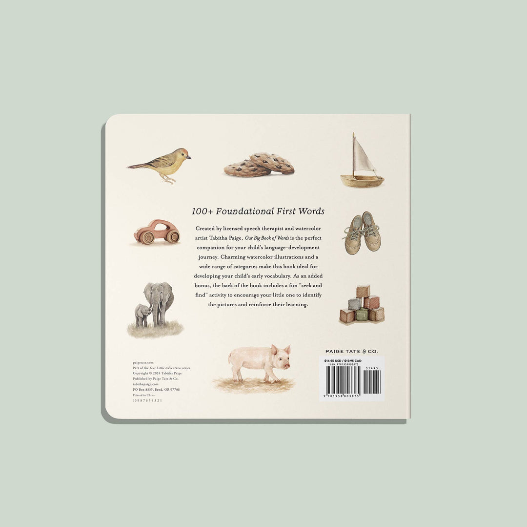 OUR BIG BOOK OF WORDS • XL board book