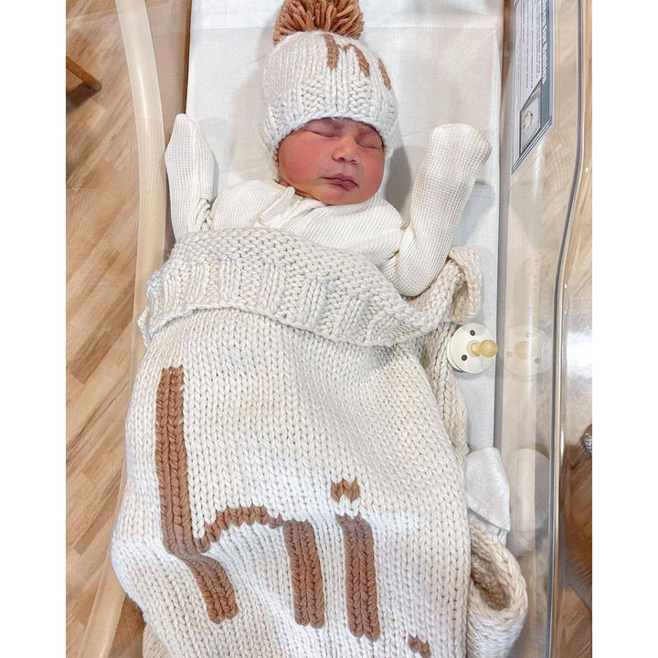 Hi. Hand Knit Baby Blanket : Pecan