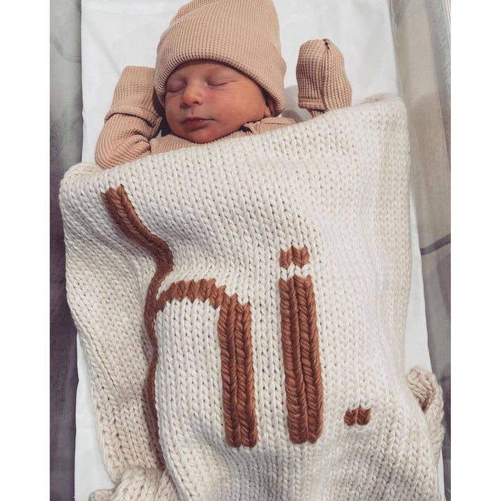 Hi. Hand Knit Baby Blanket : Pecan