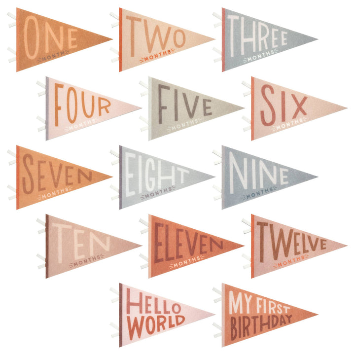 Mountain Fields Baby Milestone Pennants