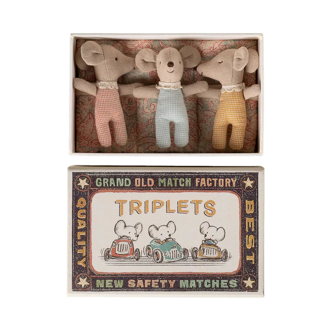 Triplets, Baby mice in matchbox - Checker