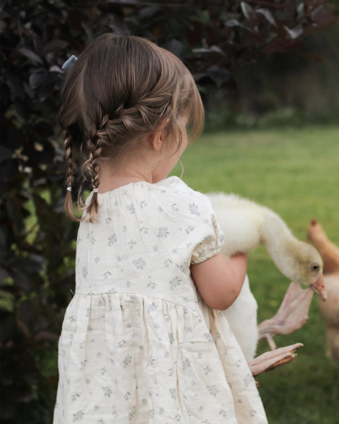 ORGANIC Winter Berry Bella Dress