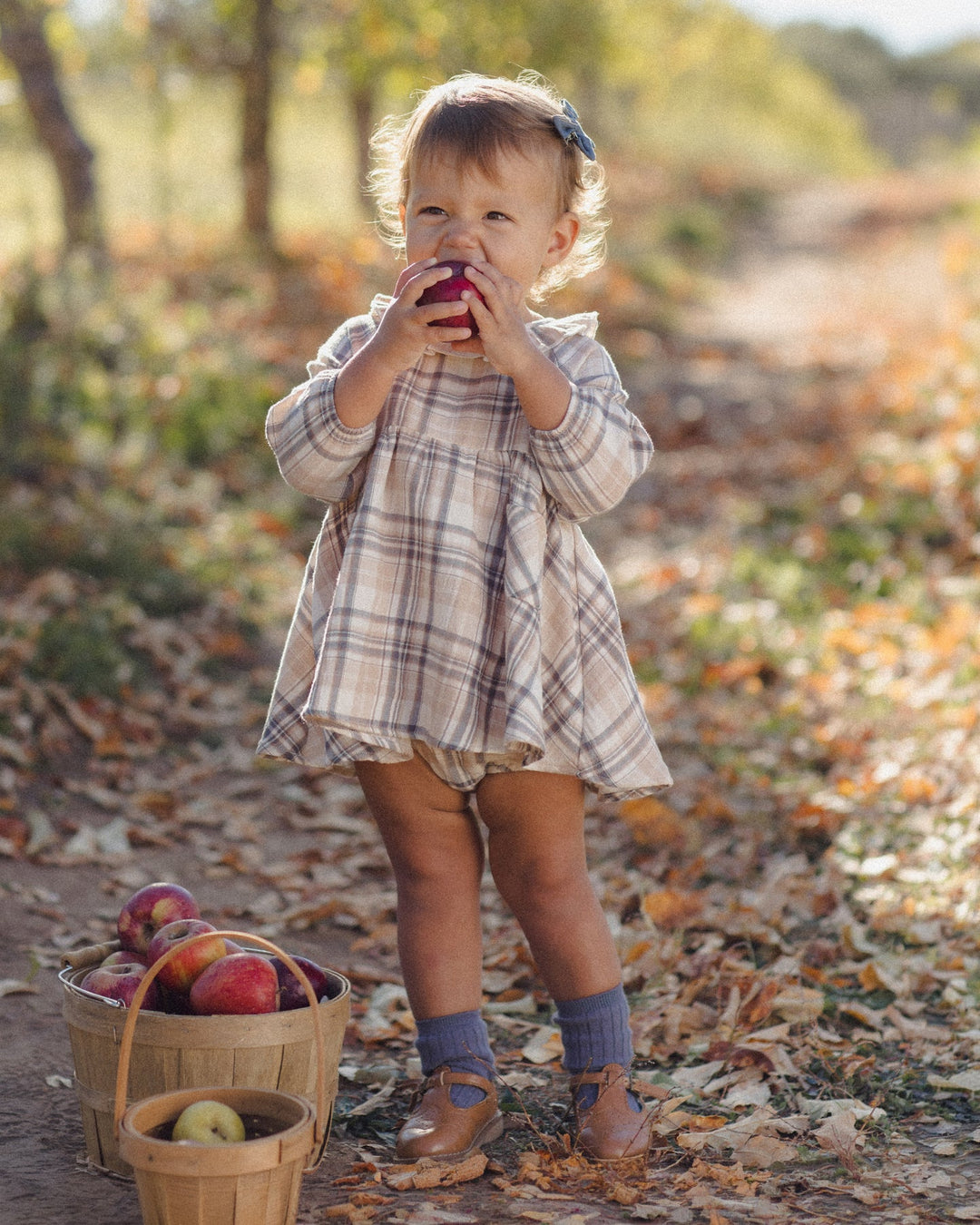 ORGANIC Simone Dress Fall Plaid