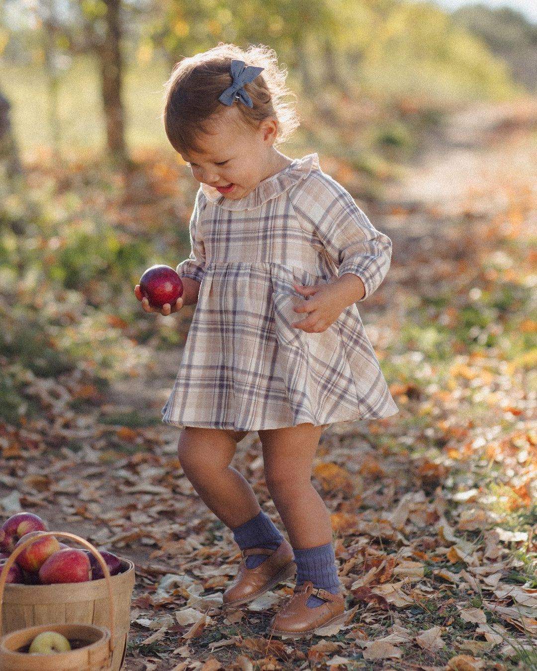 ORGANIC Simone Dress Fall Plaid