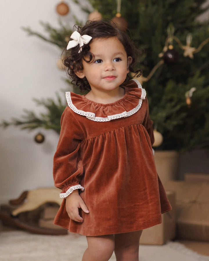 Velour Baby Dress Redwood