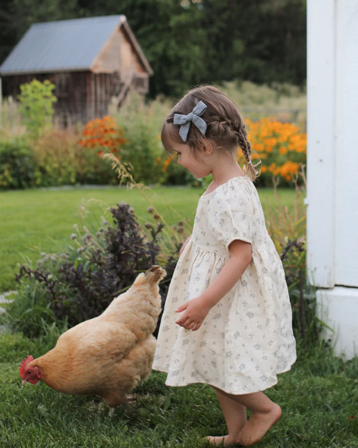 ORGANIC Winter Berry Bella Dress