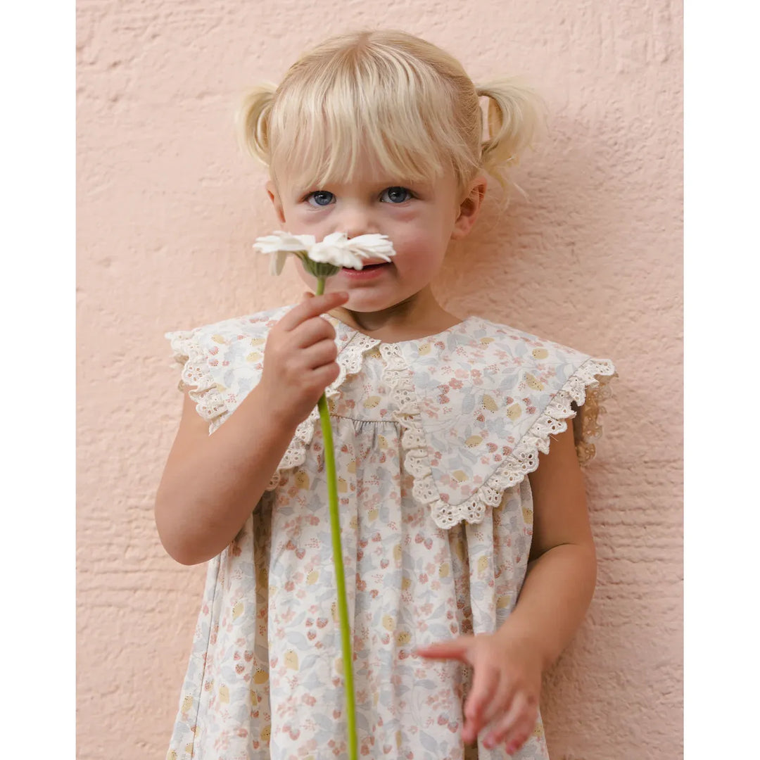 Porter Dress Summer Garden
