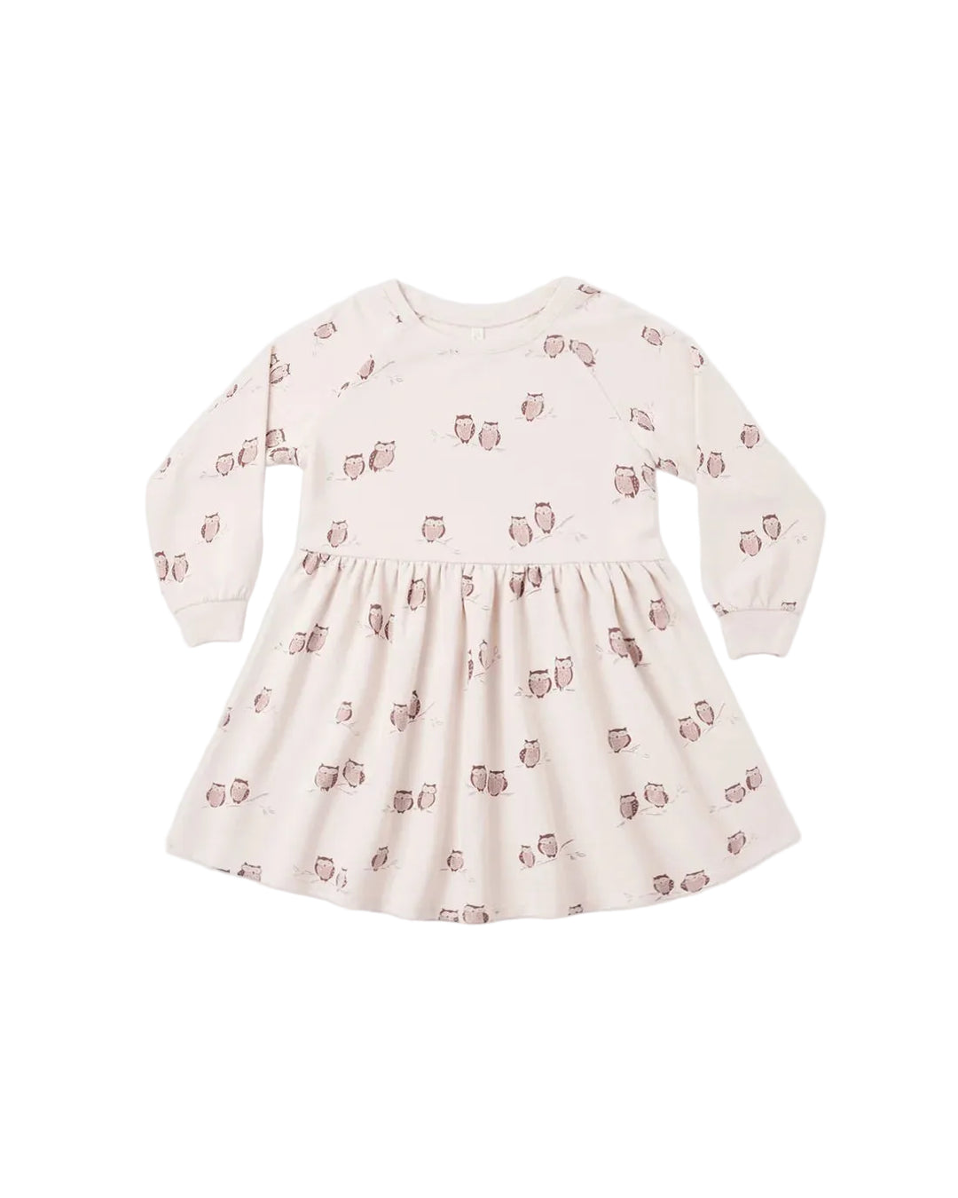 Raglan Dress Owls