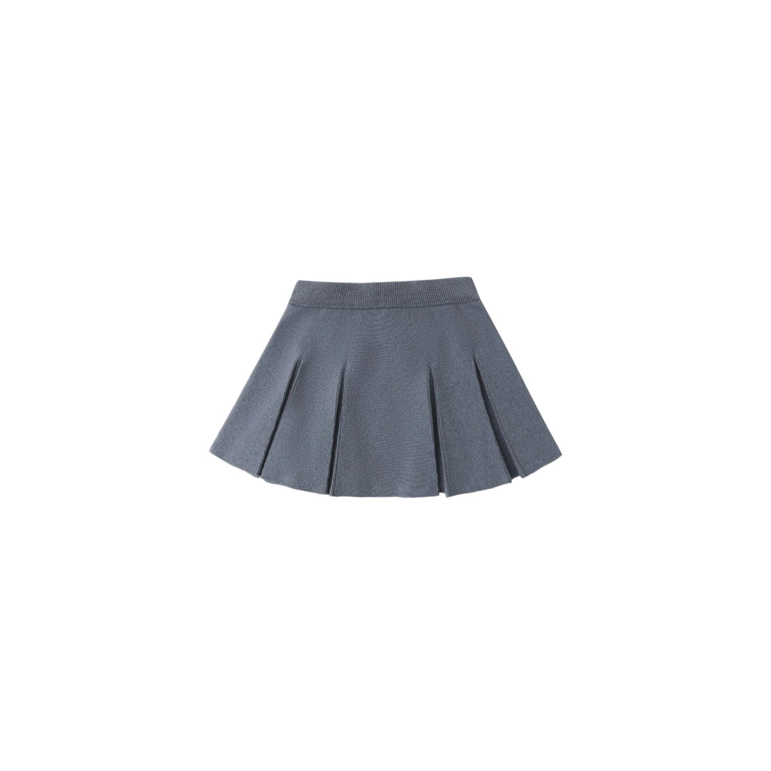 Gray pleated skirt on a white background