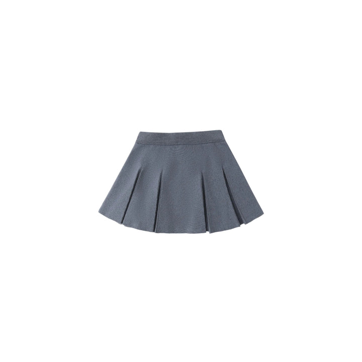 Gray pleated skirt on a white background