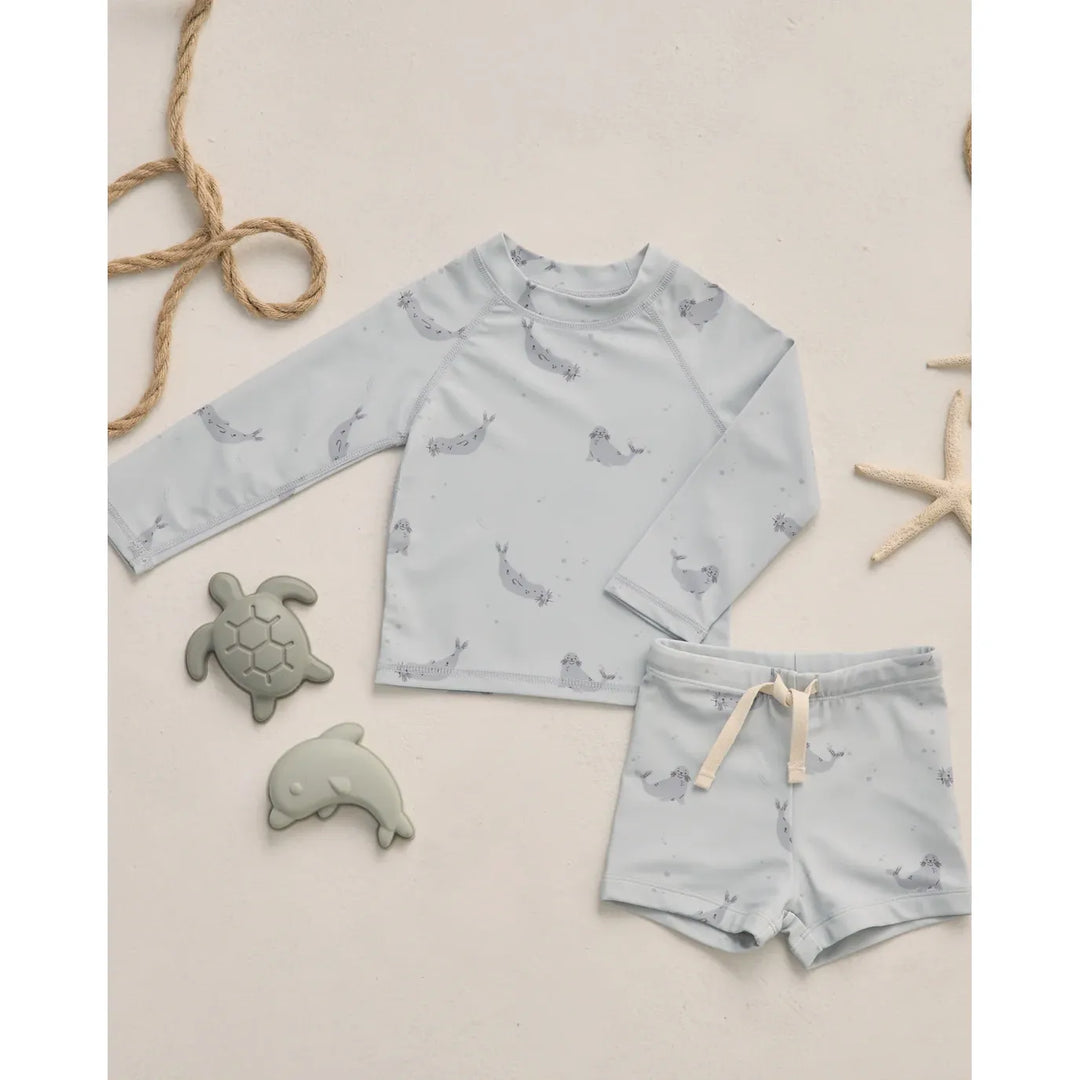 Boys Rashguard Set Seals