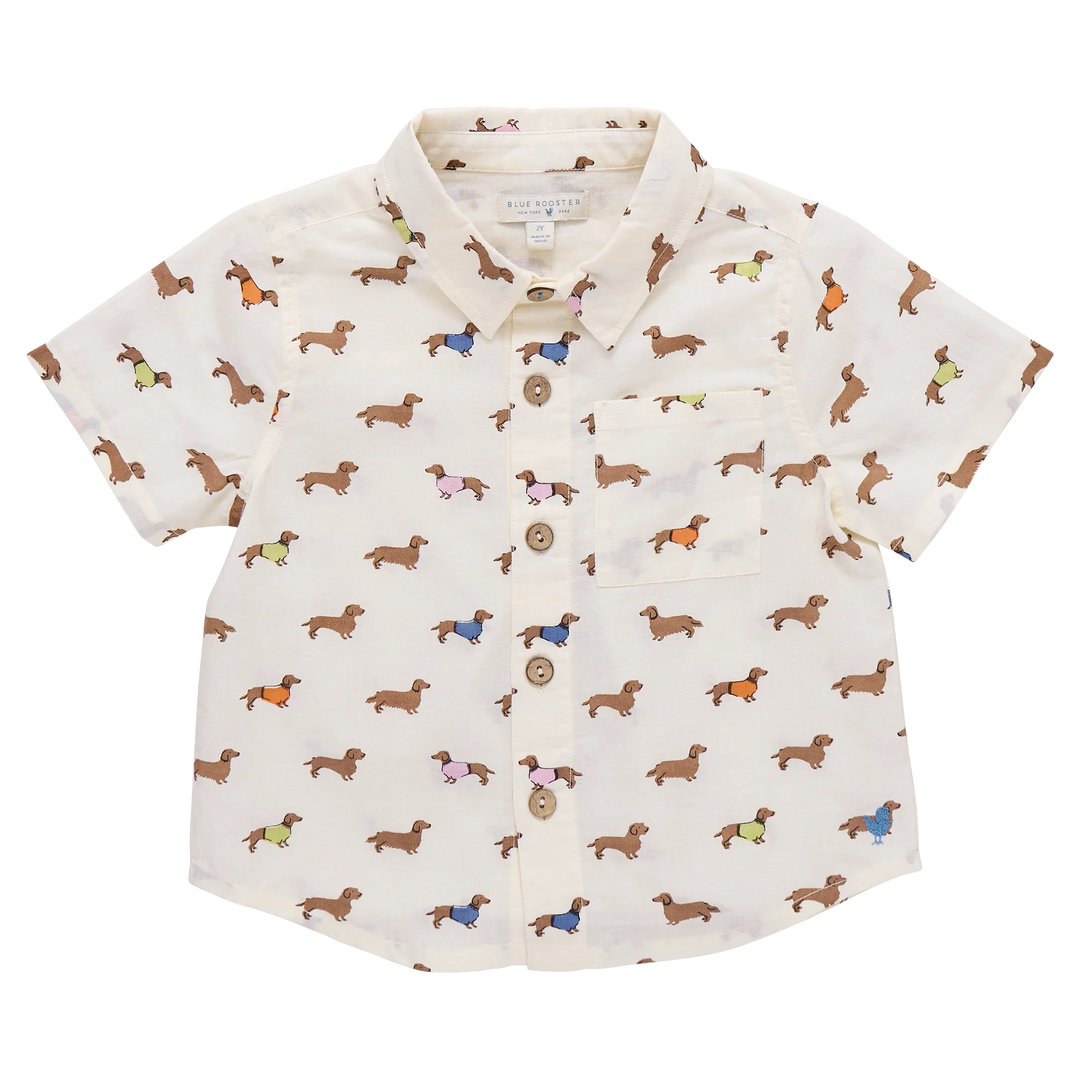 Jack Shirt • Dachshunds in Sweaters
