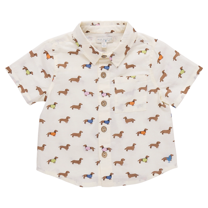 Jack Shirt • Dachshunds in Sweaters