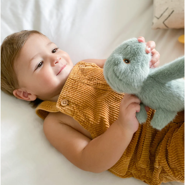 Tiny Dino Sage Plush Rattle