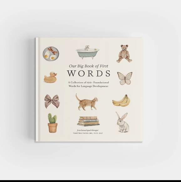 OUR BIG BOOK OF WORDS • XL board book