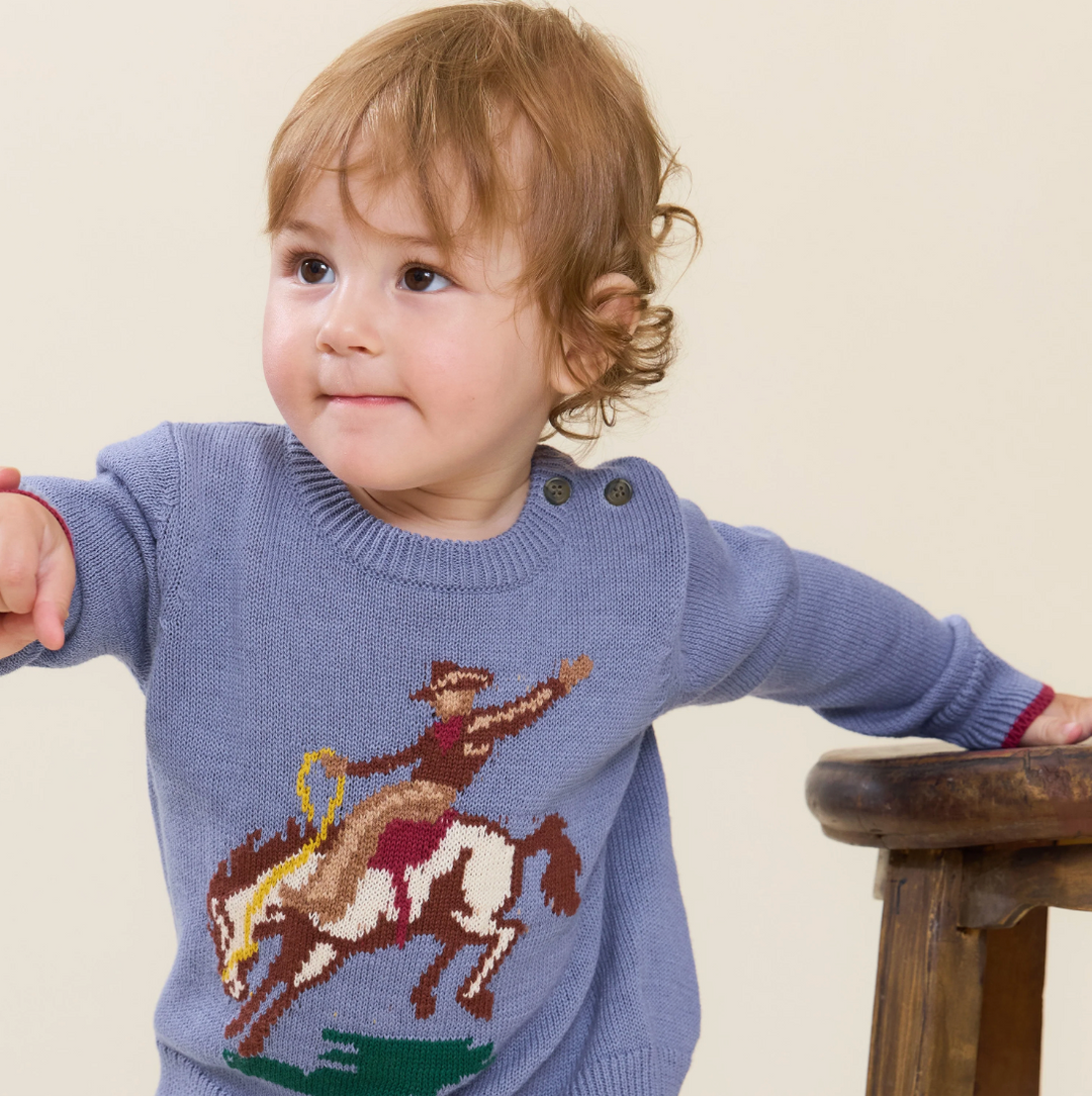 PINK CHICKEN Baby Oliver Bronco Sweater