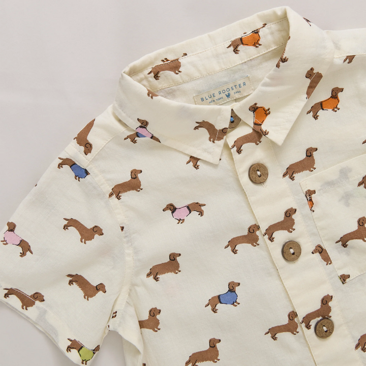 Jack Shirt • Dachshunds in Sweaters