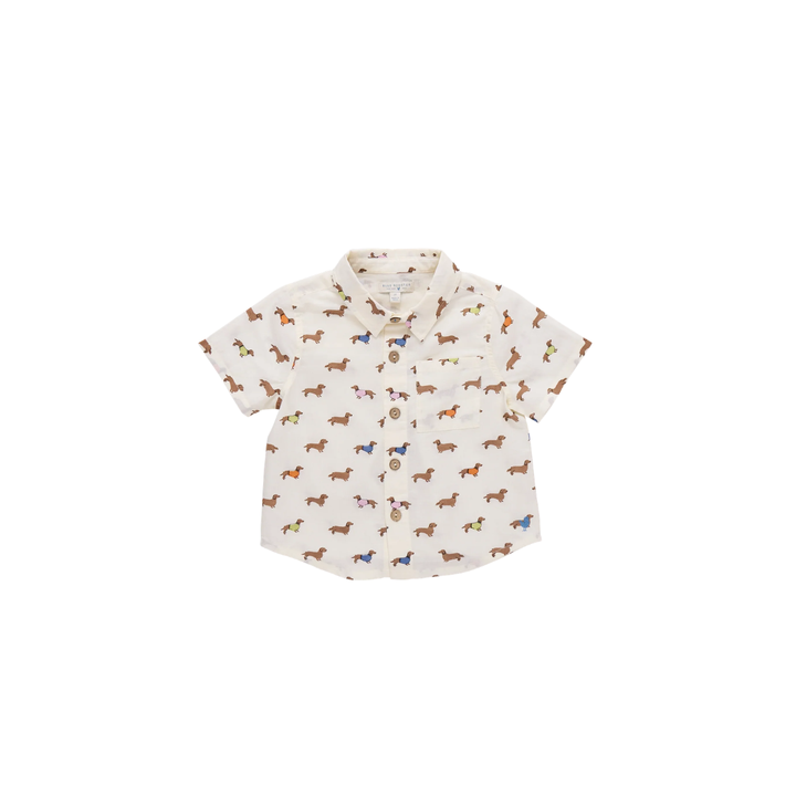Jack Shirt • Dachshunds in Sweaters