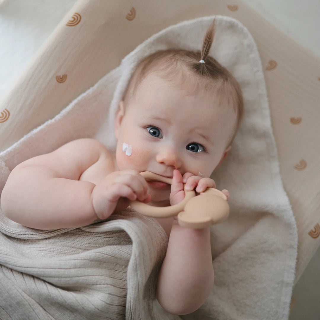 DOG TEETHER natural