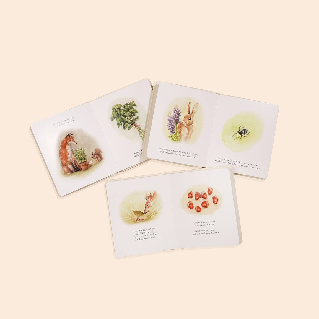 OUR LITTLE ADVENTURES Board Book Set