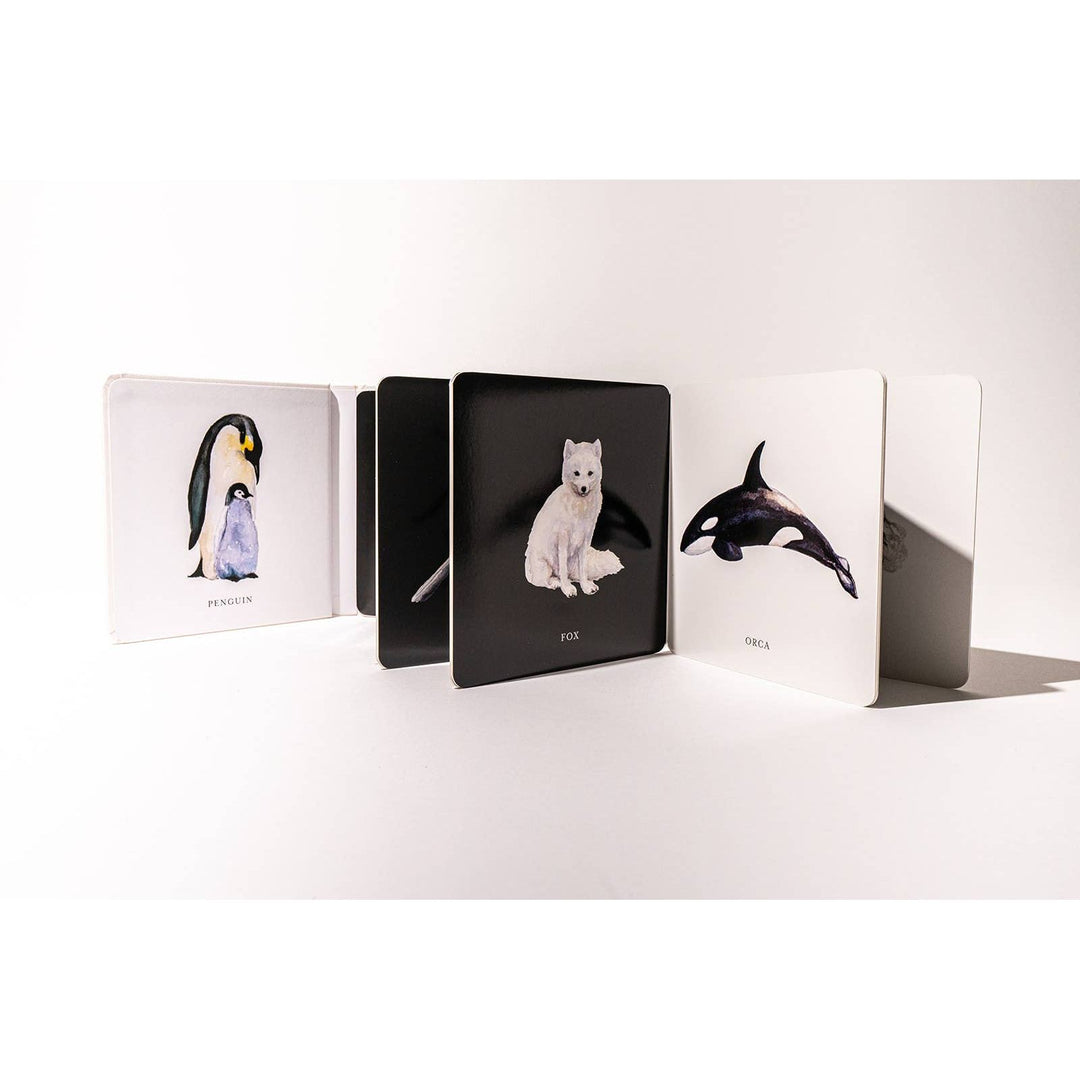BLACK &amp; WHITE BABY CONTRAST Book