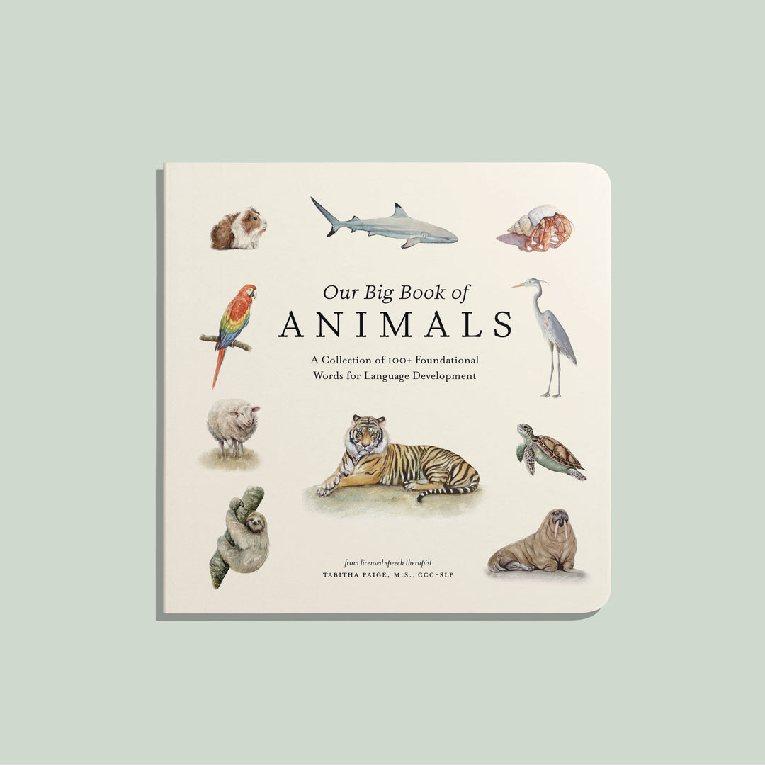 Our Big Book of Animals • XL Board Book