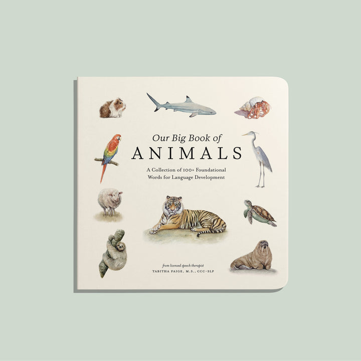 Our Big Book of Animals • XL Board Book