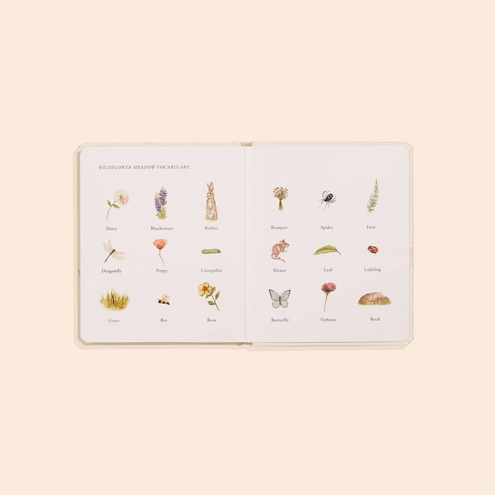 OUR LITTLE ADVENTURES Board Book Set